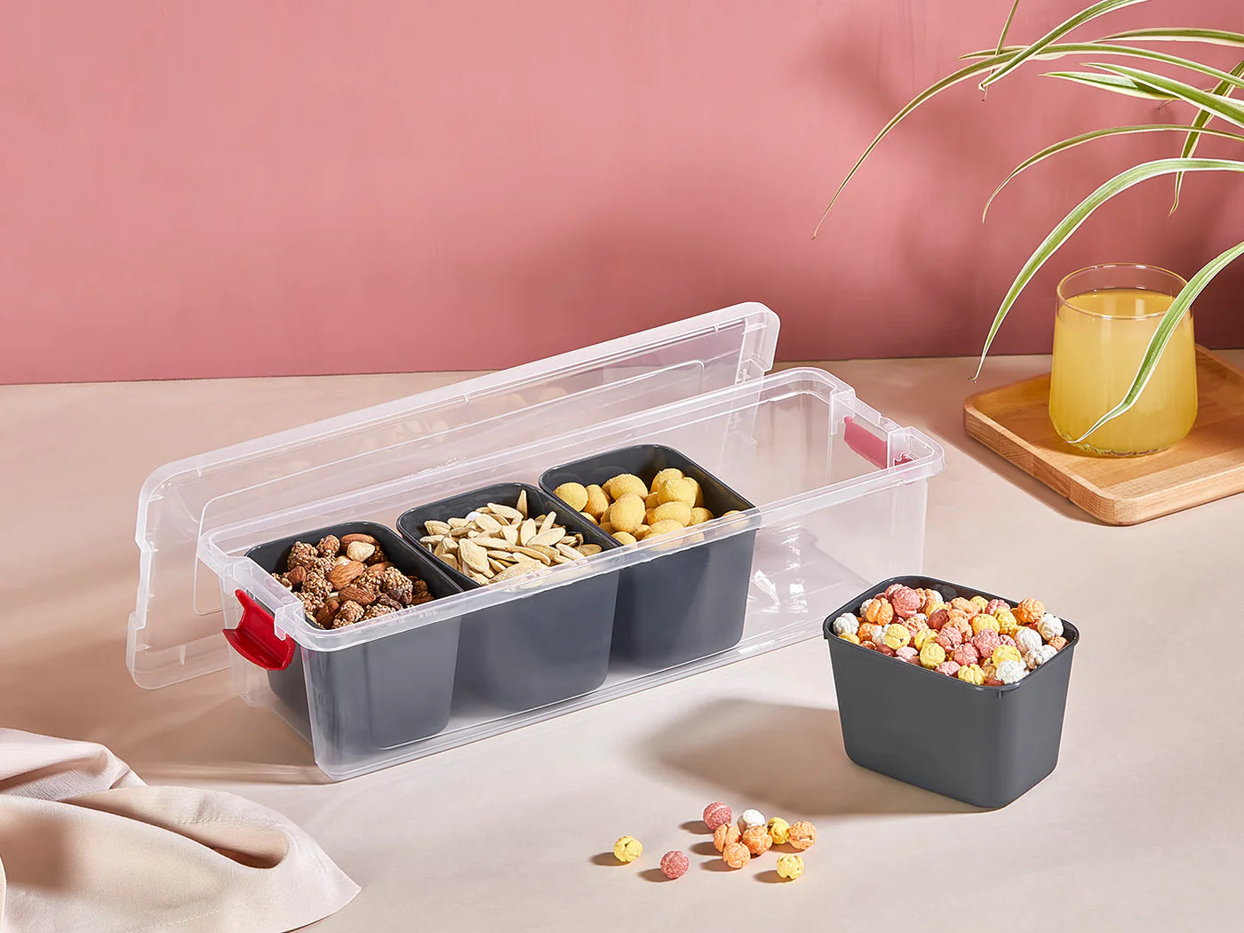 Organizers Food Box 3.4L with 4 Deepl Bowls