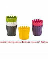 Empty Flowerpot Akasya Cactus 8.5 cm