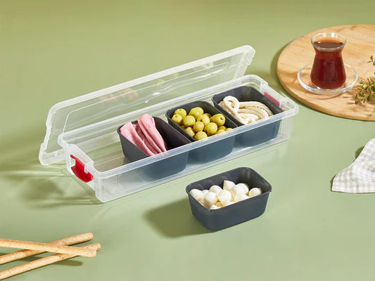Organizers Food Box 2.3L with 4 Small Bowls