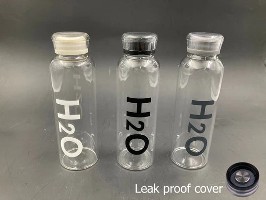 H2O Decorated Glass Water Bottle 500ml with Leak Proof