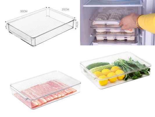 Multifunctional Storage Box with Cover XS-8102S