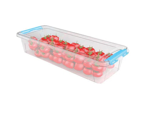 Plastic Maxi Storage Container; 2.5 lt